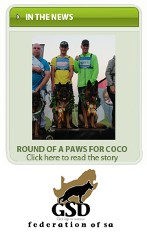 Round of a paws for coco